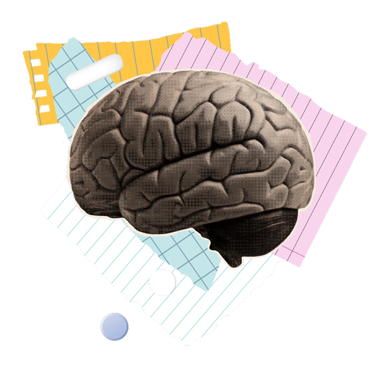 Fentanyl brain
